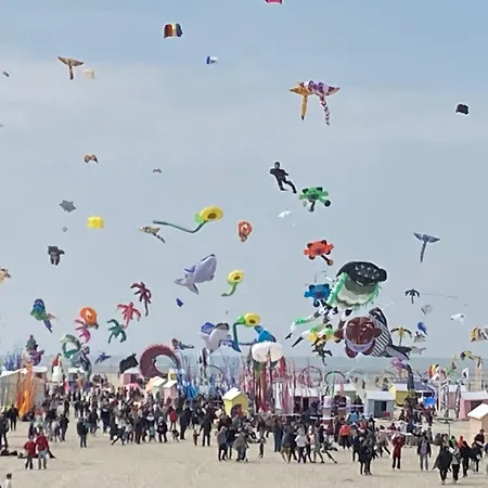 Apartamento Chti Picard Parking Privé Gratuit Et 100m De La Berck