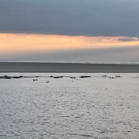 Chti Picard Parking Privé Gratuit Et 100m De La *